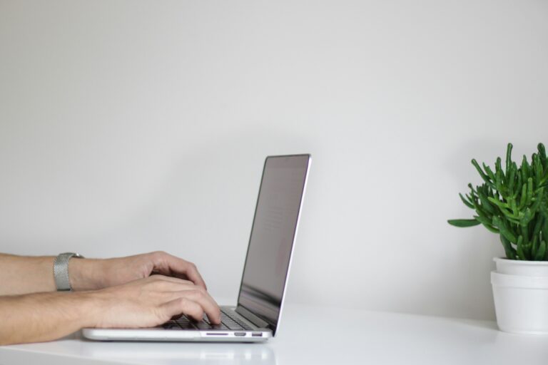 Laptop mit weißem Hintergrund und einer Deko-Pflanze rechts am Tisch. Jemand tippt am Laptop