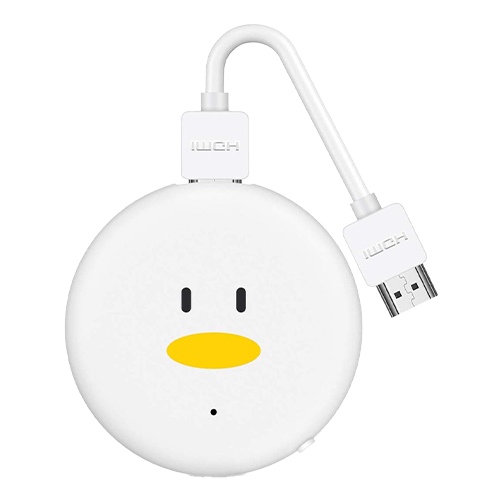 HDMI Dongles