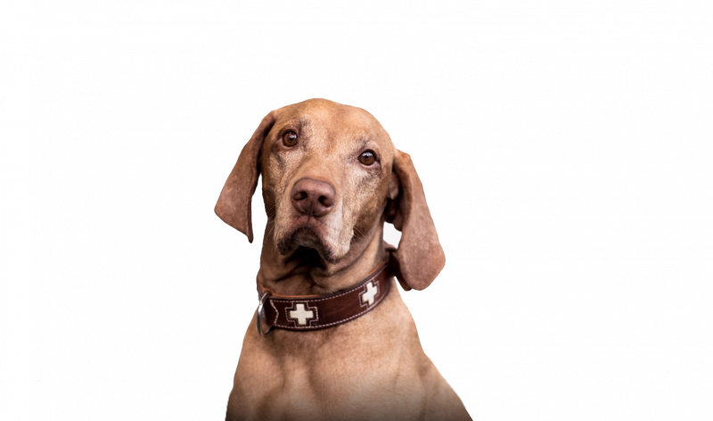 media/image/Bild-2.png